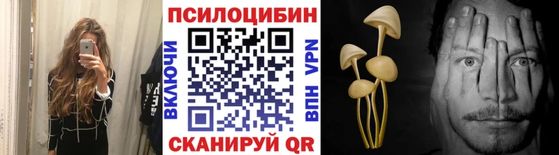 Купить где  Суоярви  Галлюциногенные грибы GOLDEN TEACHER 
